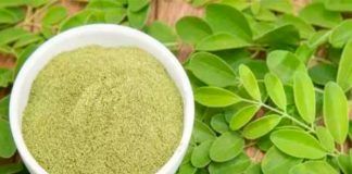 Chavimochic siembra «árbol de la vida» en su parcela experimental