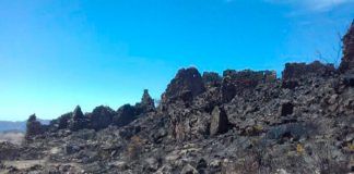 Incendio no afecta estructuras de sitio arqueológico Cerro Huasochugo