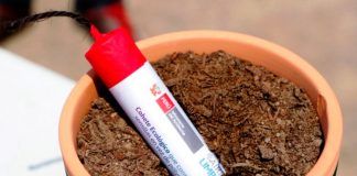 Minam lanza campaña con cohetes ecológicos que no contaminan ni hacen ruido