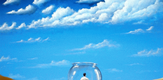 La zona de confort y cómo puede afectar a los emprendimientos