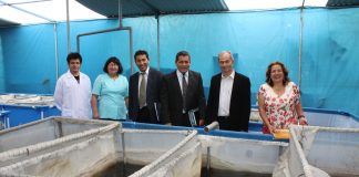 Equipo de UNT usará piel de tilapia como fuente de colágeno para cosméticos