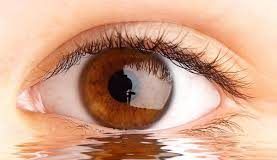 ¿Qué son las cataratas y qué síntomas presentan?