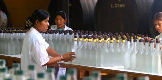 Pequeños productores de Pisco proyectan buenas expectativas de venta en campaña de fin de año