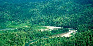 Ministerio de Cultura concluye primera etapa de la futura Reserva Indígena Sierra del Divisor Occidental