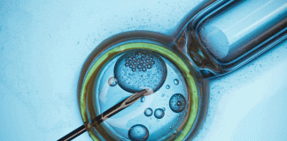¿Qué es la fecundación in vitro?
