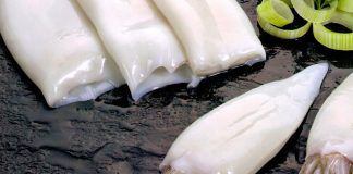 Calamasur informa que Perú aumenta en 55.3% la exportación de pota
