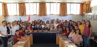 Capacitan a profesionales de Geresa en el abordaje en salud mental y violencia en mujeres gestantes