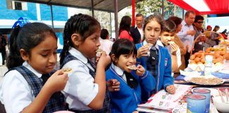 Minsa lanza guías alimentarias para el bienestar de los estudiantes
