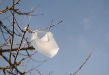 ¿Por qué debes dejar de usar las bolsas de plástico?