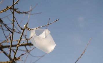 ¿Por qué debes dejar de usar las bolsas de plástico?