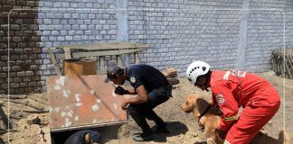 La Brigada Canina de la MPT realiza demostración en búsqueda y rescate de personas