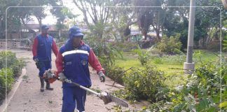 MPT desarrolla mantenimiento de áreas verdes en Jardín Botánico