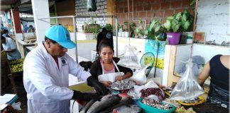 MPT inspecciona en los mercados Zonal Palermo e Indoamericano