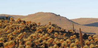 La Ordenanza Regional fortalece el desarrollo turístico del Santuario Nacional De Calipuy