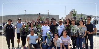 MPT realiza campaña ‘Siembra un árbol’ en el Parque Industrial