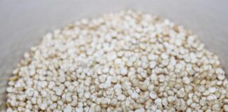 ¿Por qué la quinua no debe faltar en tu alimentación?