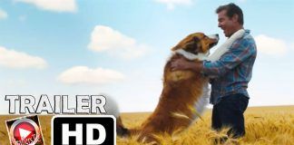Trailer: La razón de estar contigo Un nuevo viaje