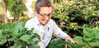UPAO lidera investigación sobre ancestral ají mochero