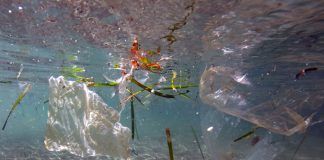 Canadá prohibirá desde 2021 los plásticos de un solo uso