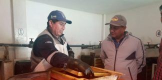 El consumo de trucha en La Libertad sigue incrementándose