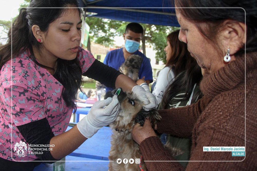 mascotas-atendidas-campana-tenencia-responsable-mascotas-colita-feliz
