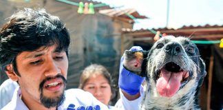 Medicina Veterinaria y Zootecnica de UPAO preocupada por la salud humana, animal y ambiental