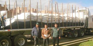 Agricultores de Huamachuco comercializan 25 toneladas de quinua orgánica al mercado norteamericano
