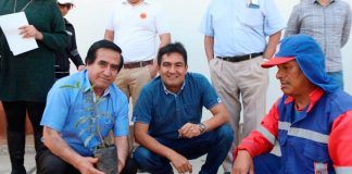 Alcalde de Víctor Larco encabeza arborización con especies donadas por el colegio de Ingenieros