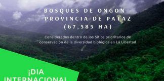 Bosque de Ongón en La Libertad se incorpora a la lista de Sitios prioritarios a nivel nacional