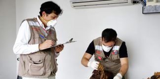 Ministerio de Cultura recupera 257 textiles de origen prehispánico durante operativo en Pucusana