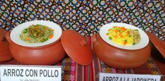 Nutricionistas del INS señalan que arroz fortificado mejora niveles de hierro en niños menores de 5 años