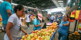 Mercados y bodegas pequeñas no deben cobrar impuesto sobre bolsas de plástico