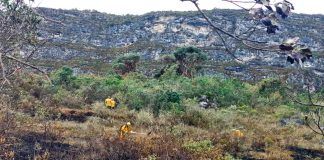 Ministerio de Cultura dispone reapertura de Zona Arqueológica de Kuélap tras extinción del incendio forestal