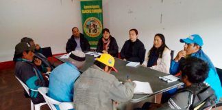 Evalúan reubicación de vicuñas en Huamachuco para su protección y conservación