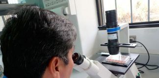 Expertos del INS avanza en creación de primera vacuna contra la verruga peruana