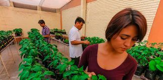 Ingeniería Agrónoma de UPAO fortalece plan de estudios