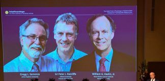 Investigación sobre adaptación del cuerpo a niveles de oxígeno se lleva el premio Nobel de Medicina