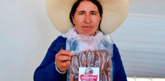 Producirán cabanossi de cuy para combatir la anemia