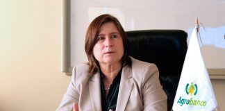 Agrobanco proyecta colocar S/200 millones en pequeños productores agropecuarios para el 2020