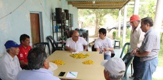 Avanzan con trabajos para obtener la denominación de origen del Ají Mochero