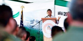 Perú erradica miles de hectáreas de coca ilegal y supera meta anual