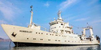 Crucero científico del Imarpe zarpará para evaluar biomasa de la anchoveta