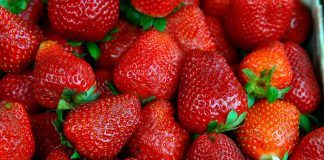 Inacal aprueba normas técnicas peruanas para comercializar frutas frescas