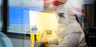 Una investigación permite hacer más efectiva la vacuna contra la Tuberculosis