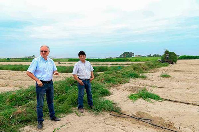 empresa-agroindustrial-upao-convierte-modelo-rentabilidad-investigacion