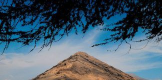 UNT y Universidad Cayetano Heredia promueven ruta académica en nuestra región