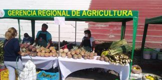 “De la chacra a la olla” visitará los distritos de Laredo, Víctor Larco, La Esperanza y Virú