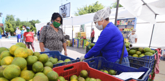 Covid-19: Puntos claves para evitar contagios en transporte público, bancos y mercados