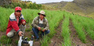 Santiago de Chuco: Agricultores serán capacitados en instalación de riego tecnificado