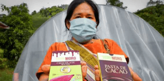 Vraem: Productores de cacao orgánico obtienen S/ 1.4 millones con venta de 138 toneladas